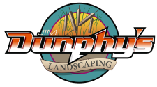 dunphys2