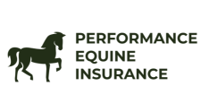equine
